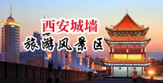 操人的网站中国陕西-西安城墙旅游风景区